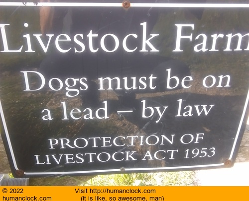 Humanclock.com image