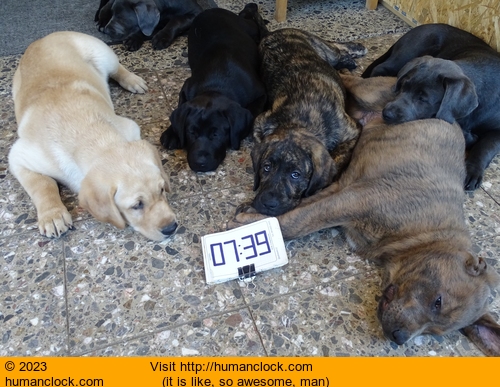 Humanclock.com image