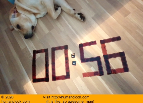 Humanclock.com image