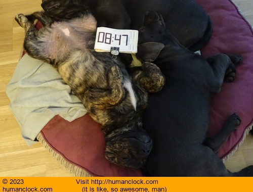 Humanclock.com image