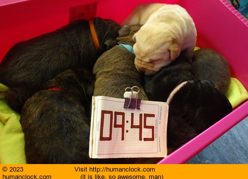 Humanclock.com image